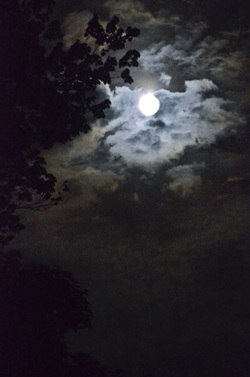 Полная луна - фото Мэри Энн Гласс (с)